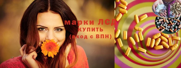 стаф Арсеньев