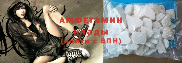 шишки Медвежьегорск