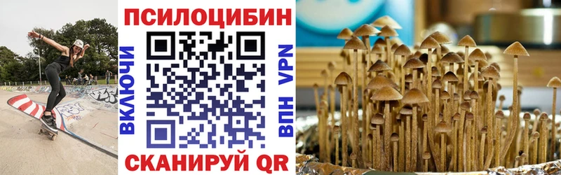 наркотики  Олонец  shop формула  Псилоцибиновые грибы GOLDEN TEACHER 